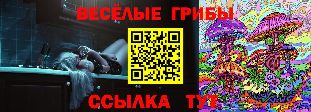 Ачхой-Мартан  Псилоцибиновые грибы мицелий  наркошоп  Вход с VPN 